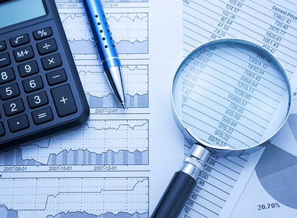 背景調(diào)查咨詢(xún)